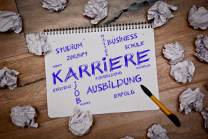 Karriere